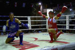 тайский бокс видео бесплатно